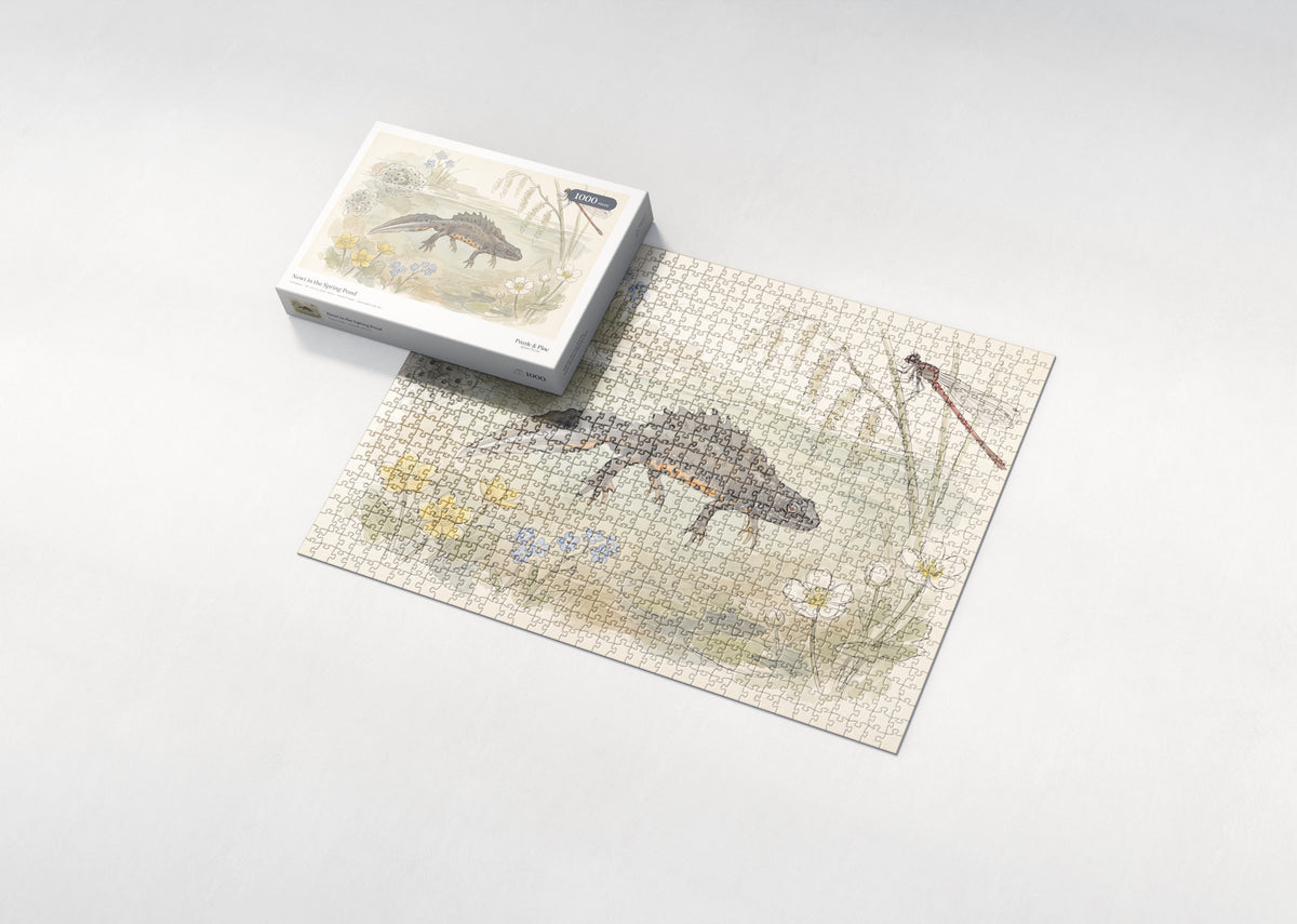 Newt in the Spring Pond jigsaw puzzle - box and puzzle