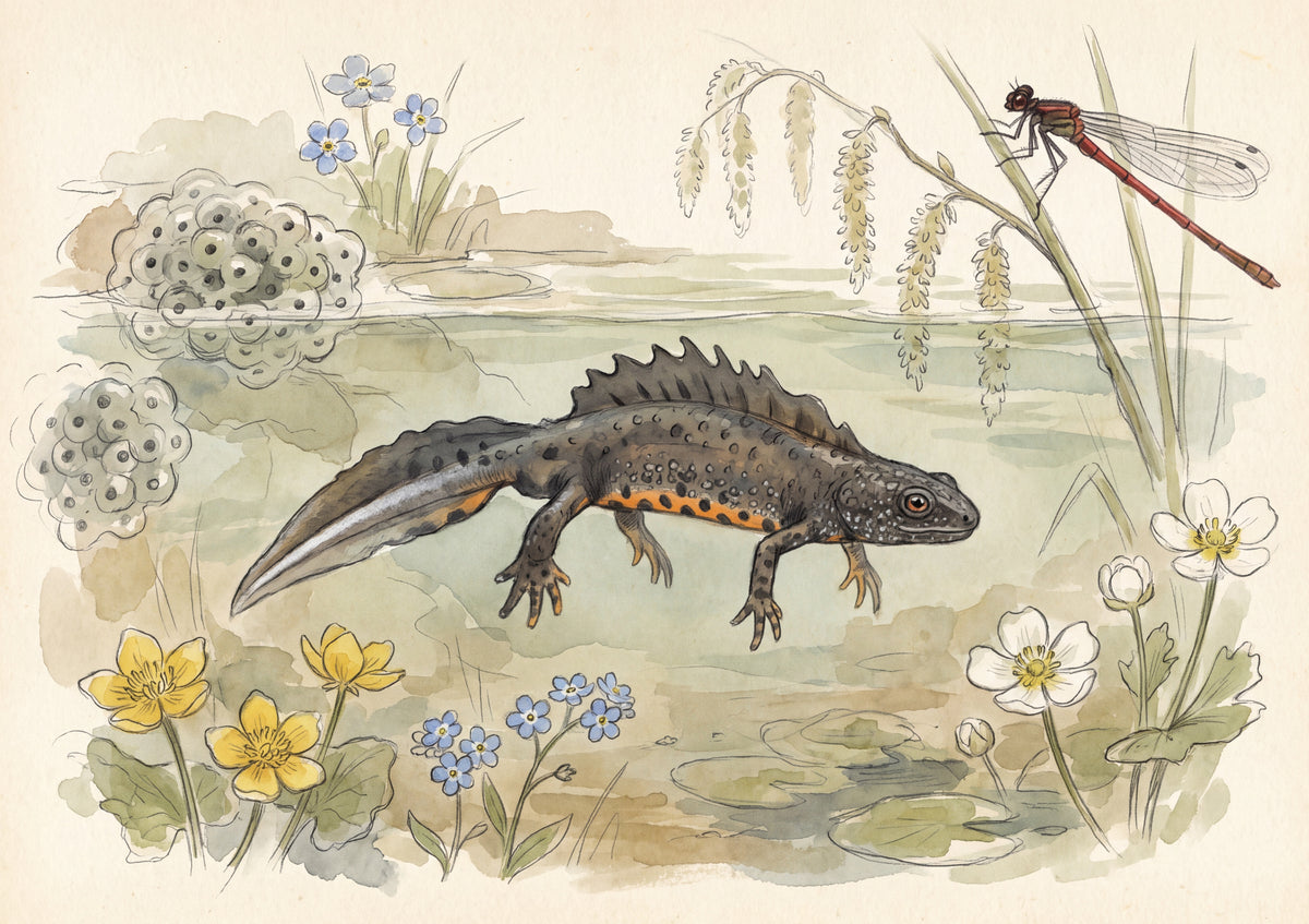 Newt in the Spring Pond jigsaw puzzle