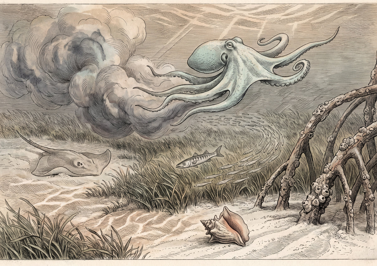 Octopus Ink Cloud in the Lagoon jigsaw puzzle