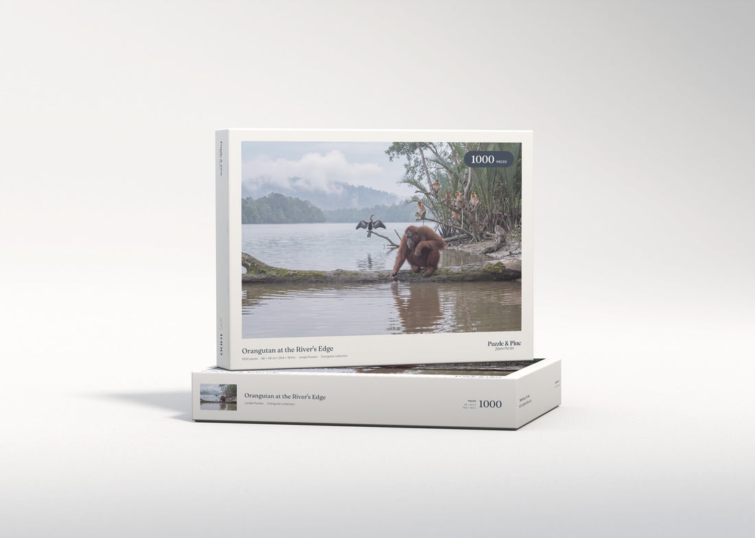 Orangutan at the River's Edge jigsaw puzzle - gift box