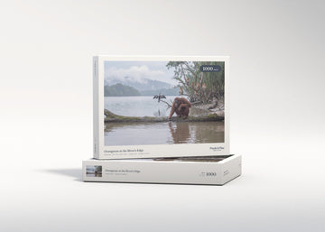 Orangutan at the River's Edge jigsaw puzzle - gift box