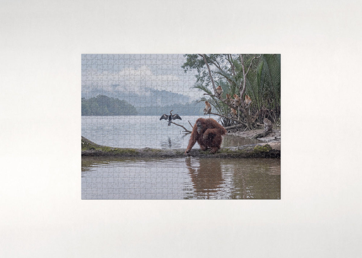 Orangutan at the River's Edge jigsaw puzzle - flat puzzle