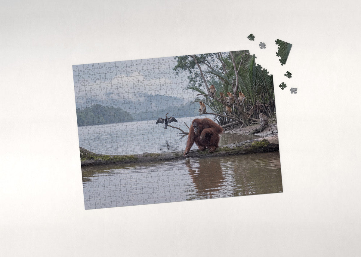 Orangutan at the River's Edge jigsaw puzzle - puzzle with loose pieces