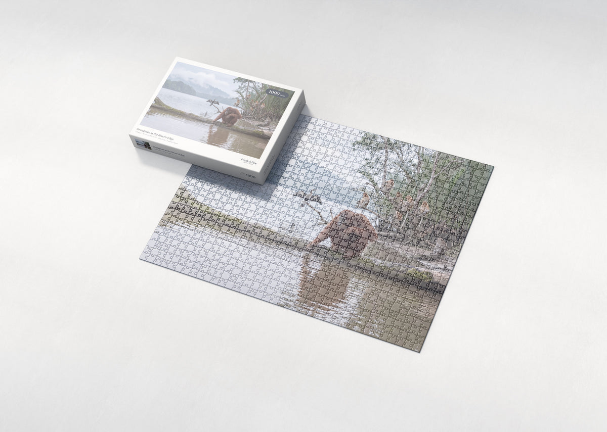 Orangutan at the River's Edge jigsaw puzzle - box and puzzle