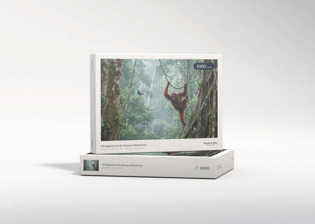 Orangutan in the Borneo Rainforest jigsaw puzzle - gift box