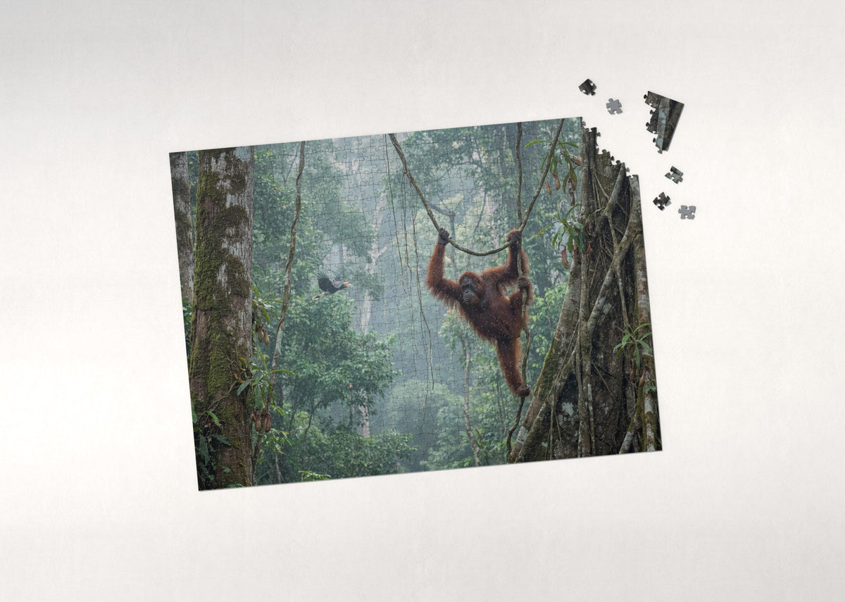 Orangutan in the Borneo Rainforest jigsaw puzzle - puzzle with loose pieces
