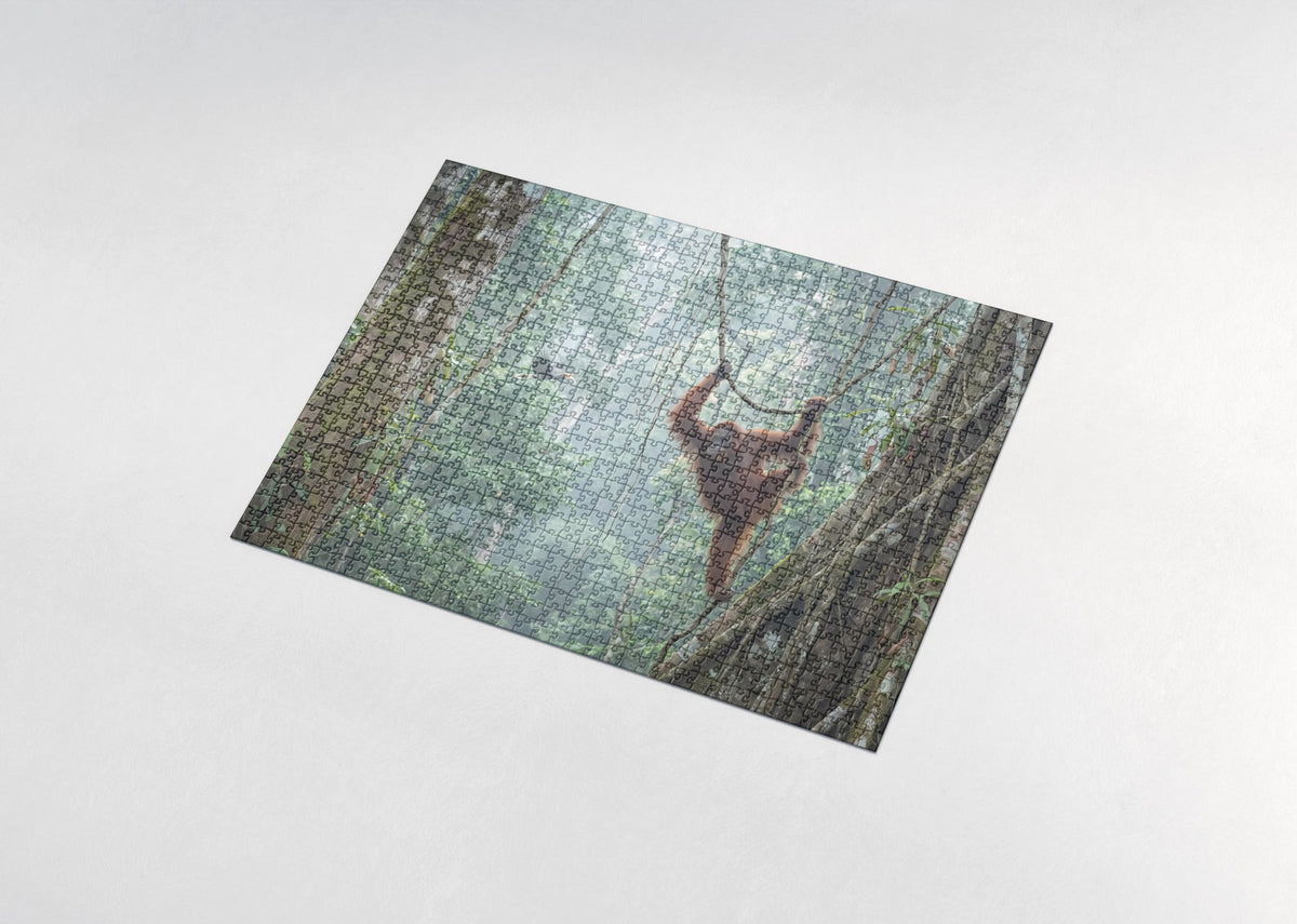 Orangutan in the Borneo Rainforest jigsaw puzzle - assembled puzzle