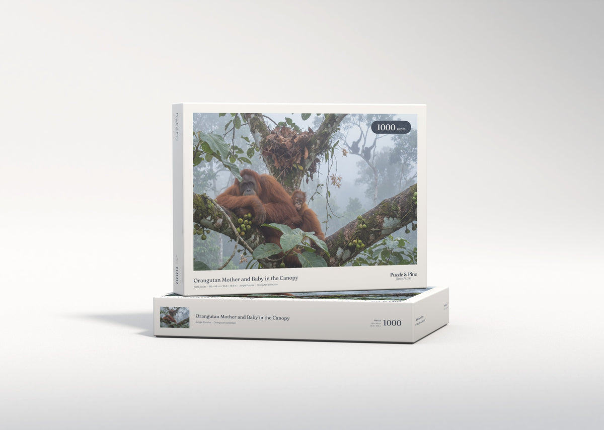 Orangutan Mother and Baby in the Canopy jigsaw puzzle - gift box