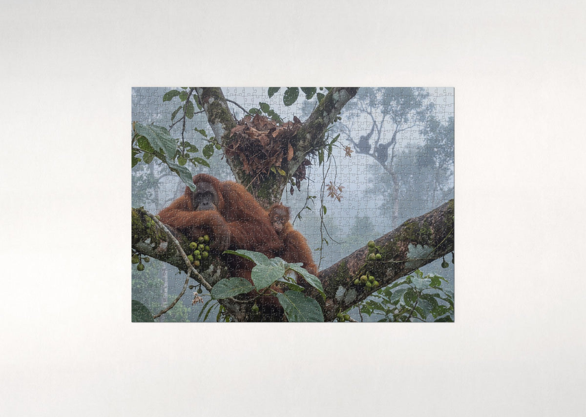 Orangutan Mother and Baby in the Canopy jigsaw puzzle - flat puzzle