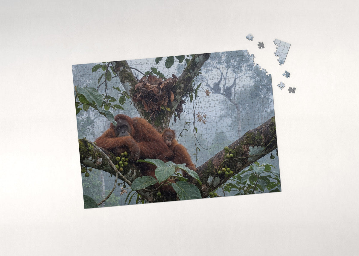 Orangutan Mother and Baby in the Canopy jigsaw puzzle - puzzle with loose pieces