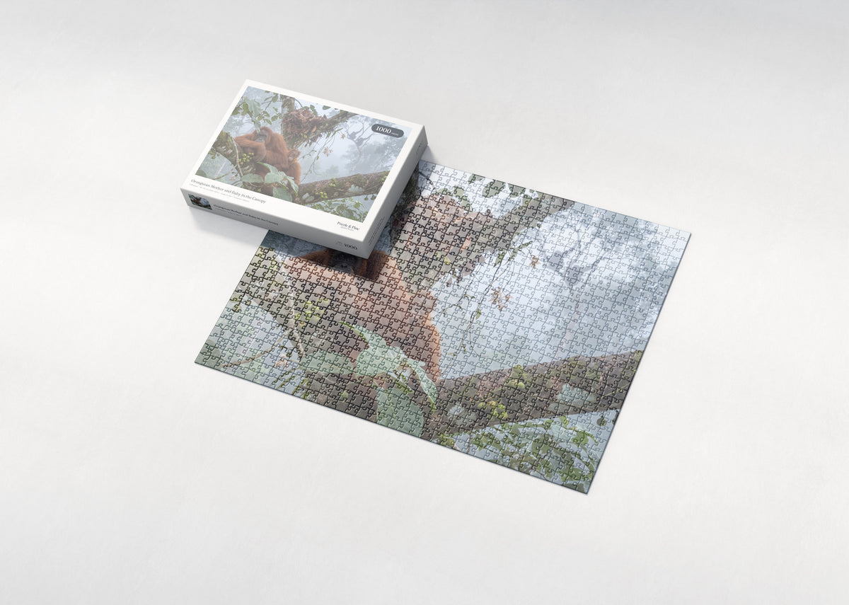 Orangutan Mother and Baby in the Canopy jigsaw puzzle - box and puzzle