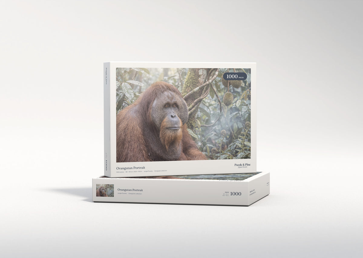 Orangutan Portrait jigsaw puzzle - gift box