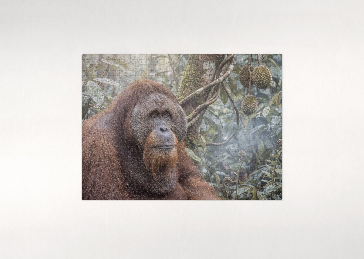 Orangutan Portrait jigsaw puzzle - flat puzzle