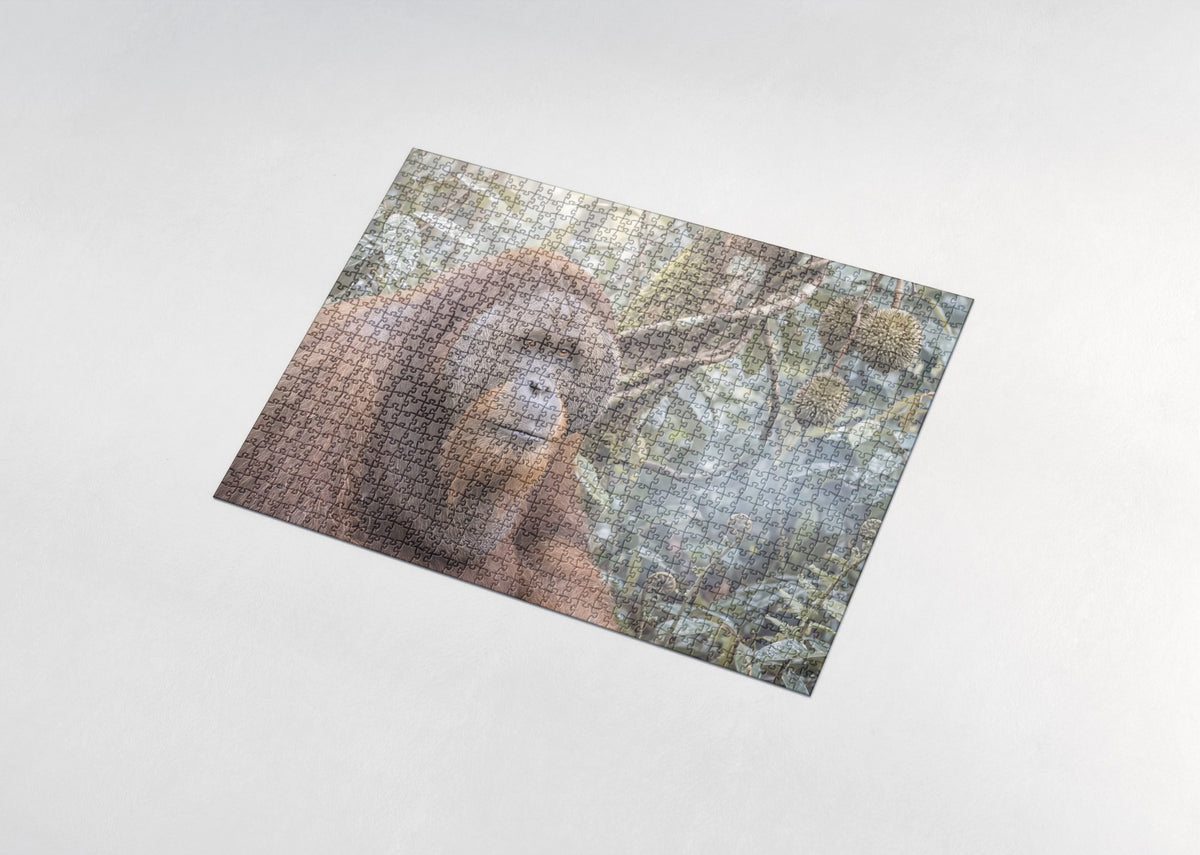 Orangutan Portrait jigsaw puzzle - assembled puzzle