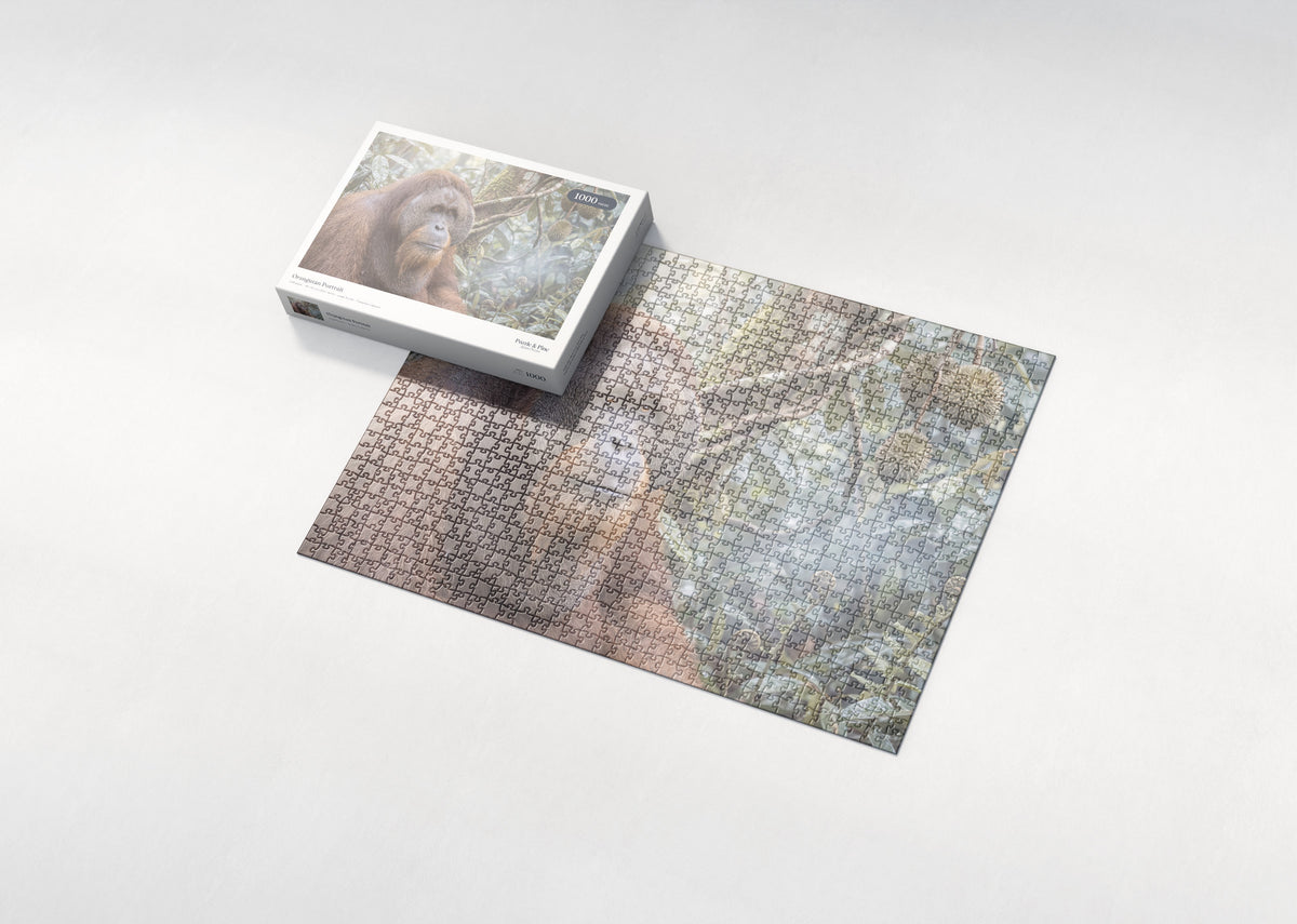 Orangutan Portrait jigsaw puzzle - box and puzzle