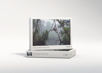 Orangutan Swinging Through the Jungle jigsaw puzzle - gift box