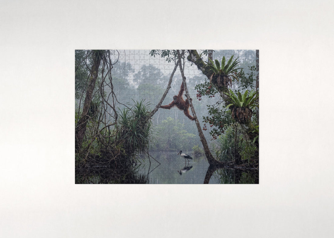 Orangutan Swinging Through the Jungle jigsaw puzzle - gift box