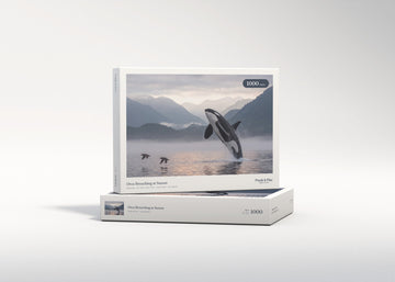 Orca Breaching at Sunset jigsaw puzzle - gift box