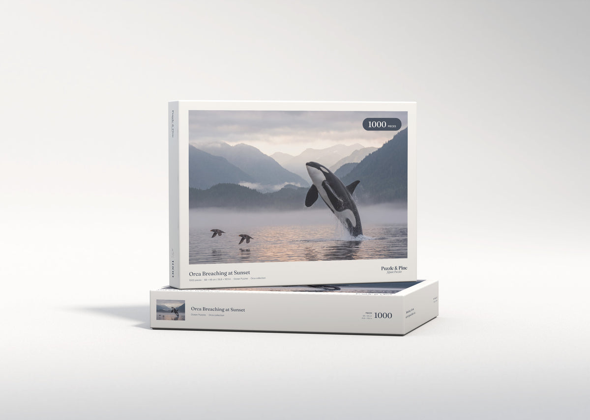 Orca Breaching at Sunset jigsaw puzzle - gift box