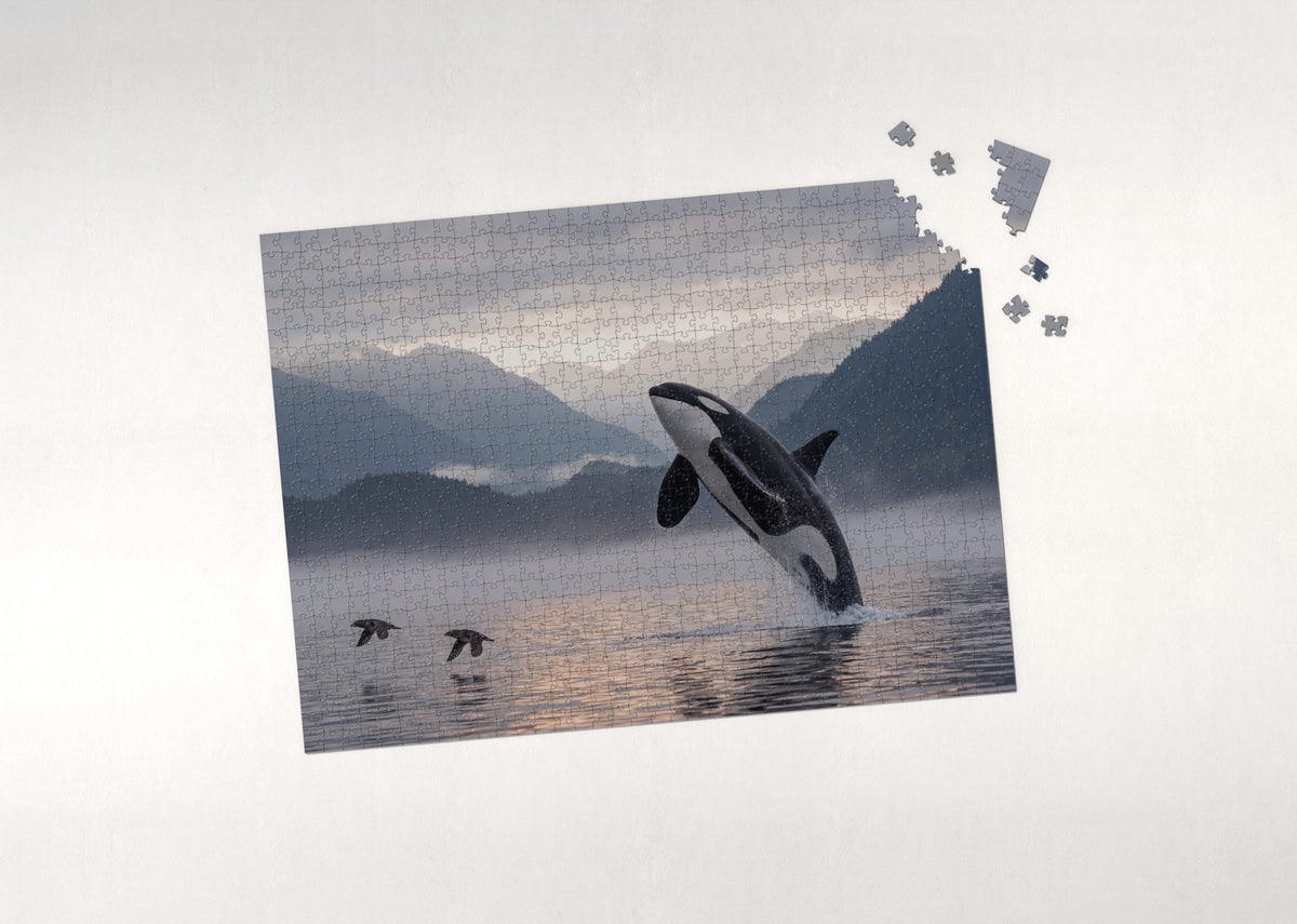 Orca Breaching at Sunset jigsaw puzzle - puzzle with loose pieces