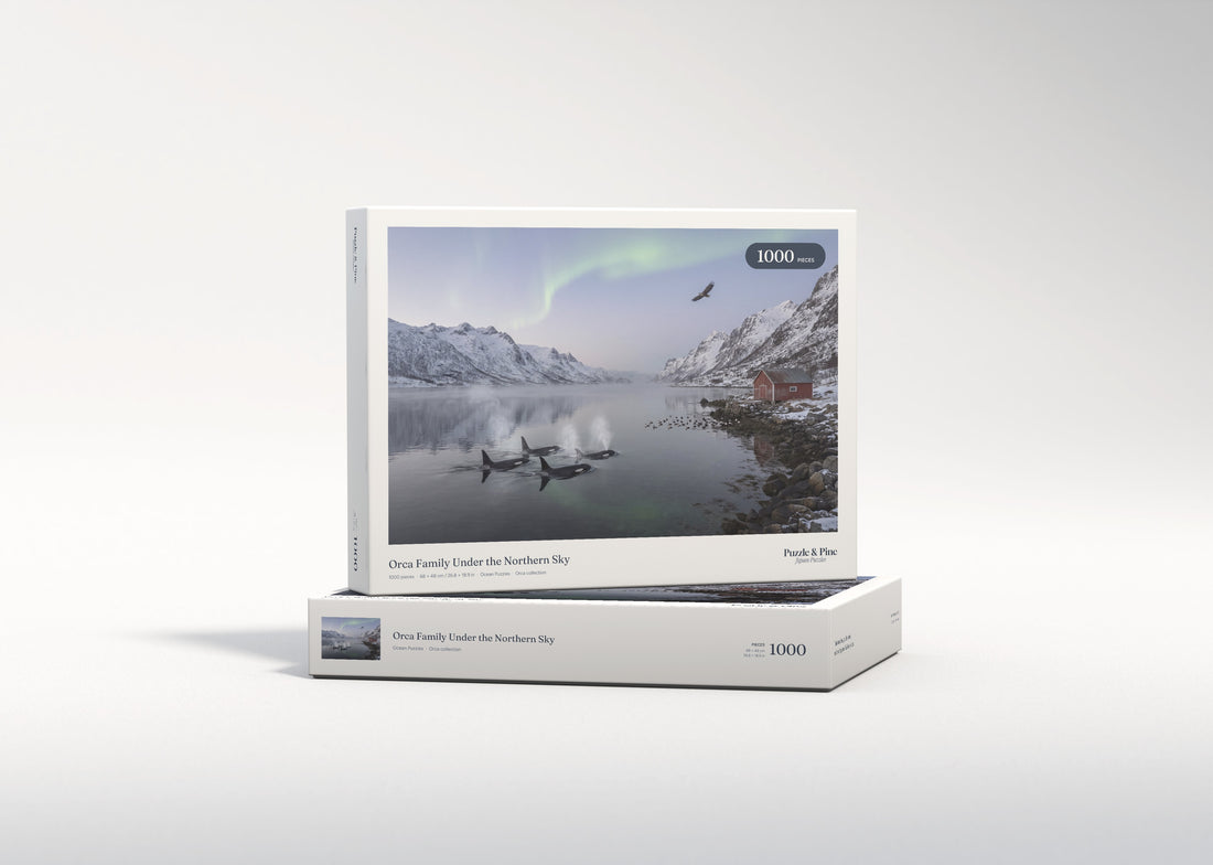 Orca Family Under the Northern Sky jigsaw puzzle - gift box