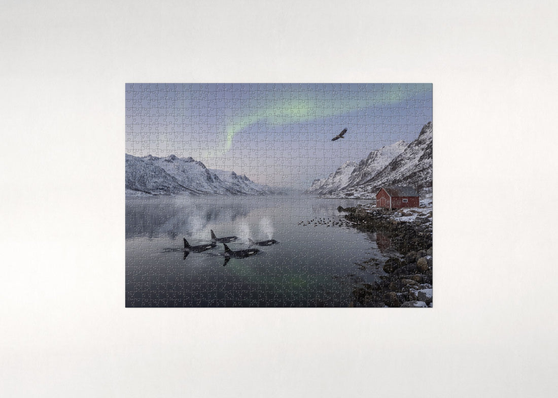 Orca Family Under the Northern Sky jigsaw puzzle - gift box