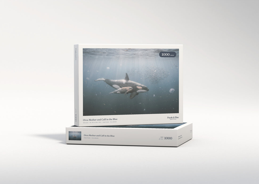Orca Mother and Calf in the Blue jigsaw puzzle - gift box