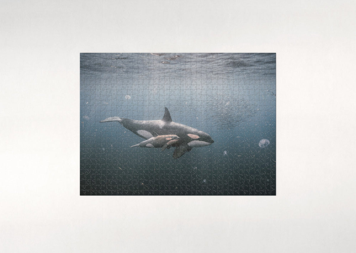 Orca Mother and Calf in the Blue jigsaw puzzle - flat puzzle