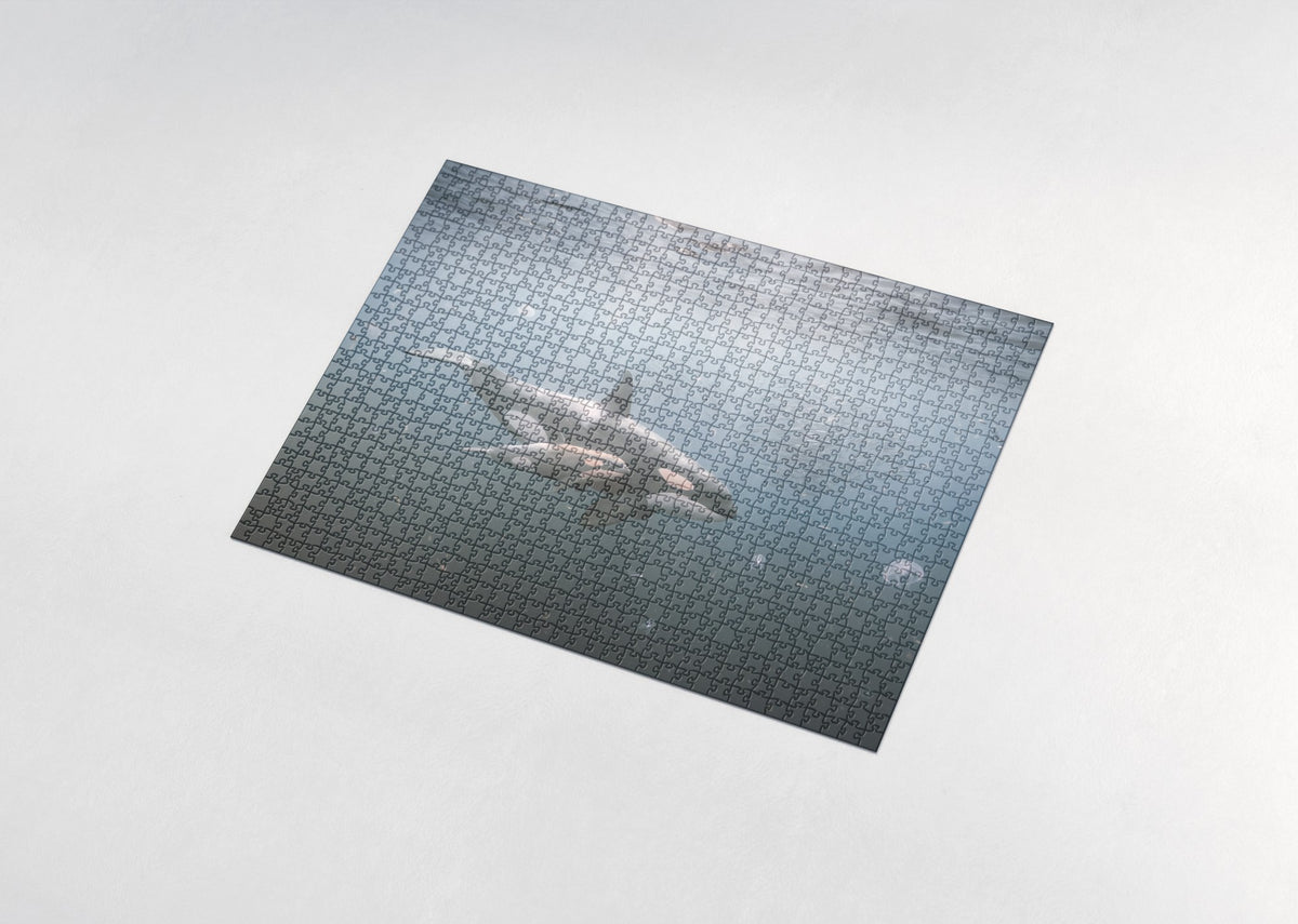 Orca Mother and Calf in the Blue jigsaw puzzle - assembled puzzle