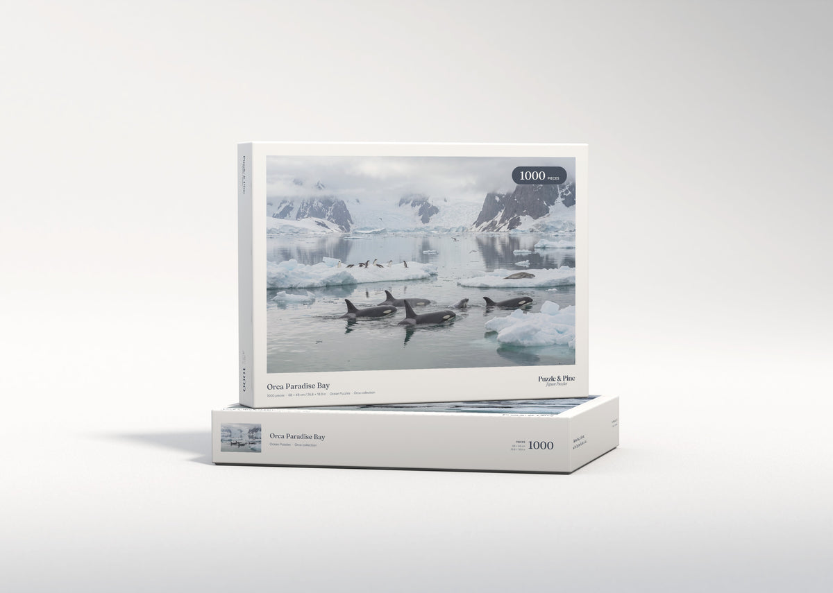 Orca Paradise Bay jigsaw puzzle - gift box
