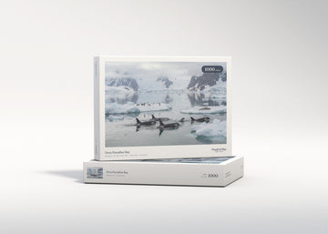 Orca Paradise Bay jigsaw puzzle - gift box