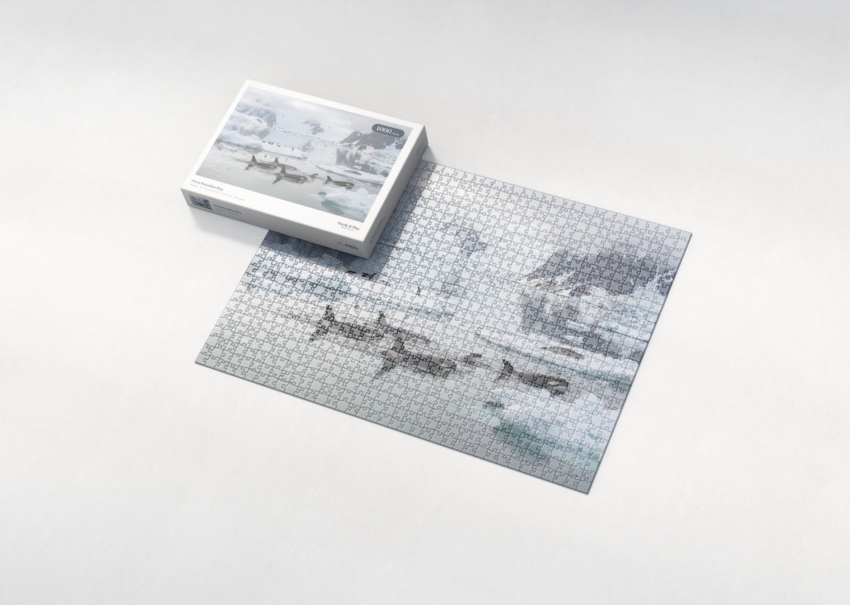 Orca Paradise Bay jigsaw puzzle - box and puzzle