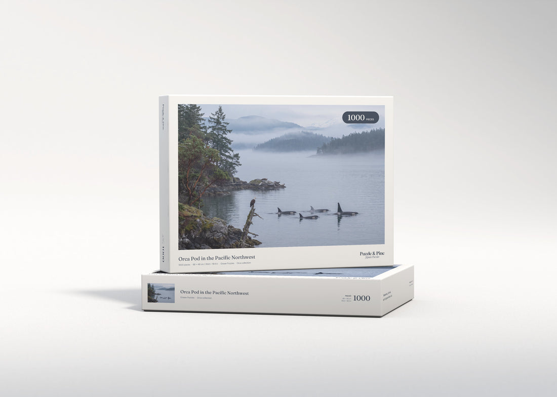 Orca Pod in the Pacific Northwest jigsaw puzzle - gift box