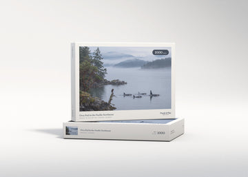Orca Pod in the Pacific Northwest jigsaw puzzle - gift box