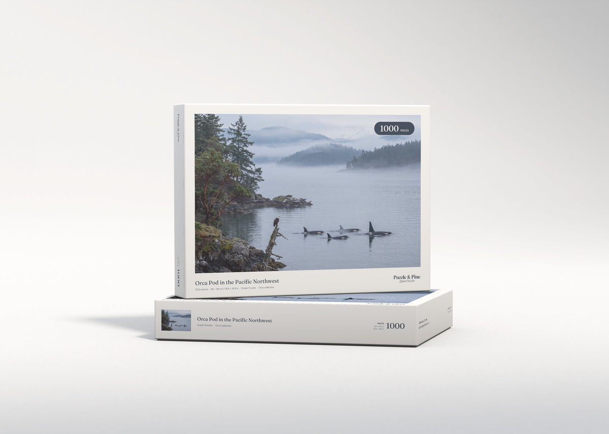Orca Pod in the Pacific Northwest jigsaw puzzle - gift box