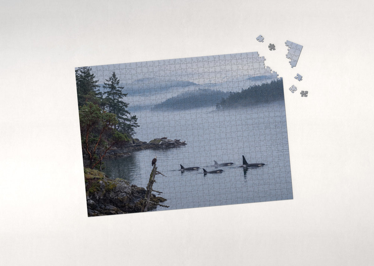 Orca Pod in the Pacific Northwest jigsaw puzzle - puzzle with loose pieces