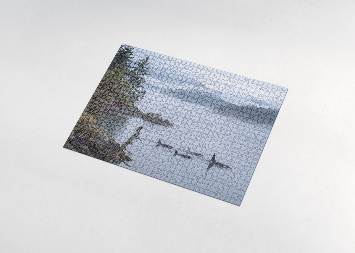 Orca Pod in the Pacific Northwest jigsaw puzzle - assembled puzzle