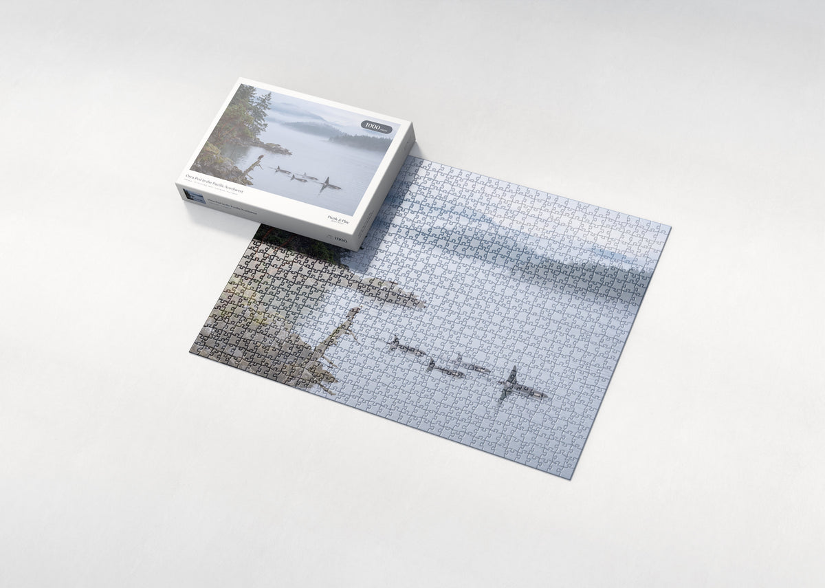 Orca Pod in the Pacific Northwest jigsaw puzzle - box and puzzle
