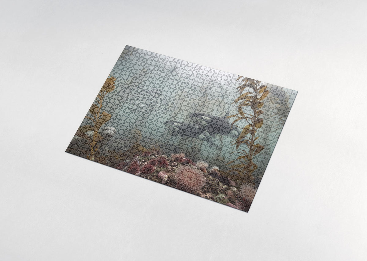 Orcas Hunting in the Kelp jigsaw puzzle - assembled puzzle