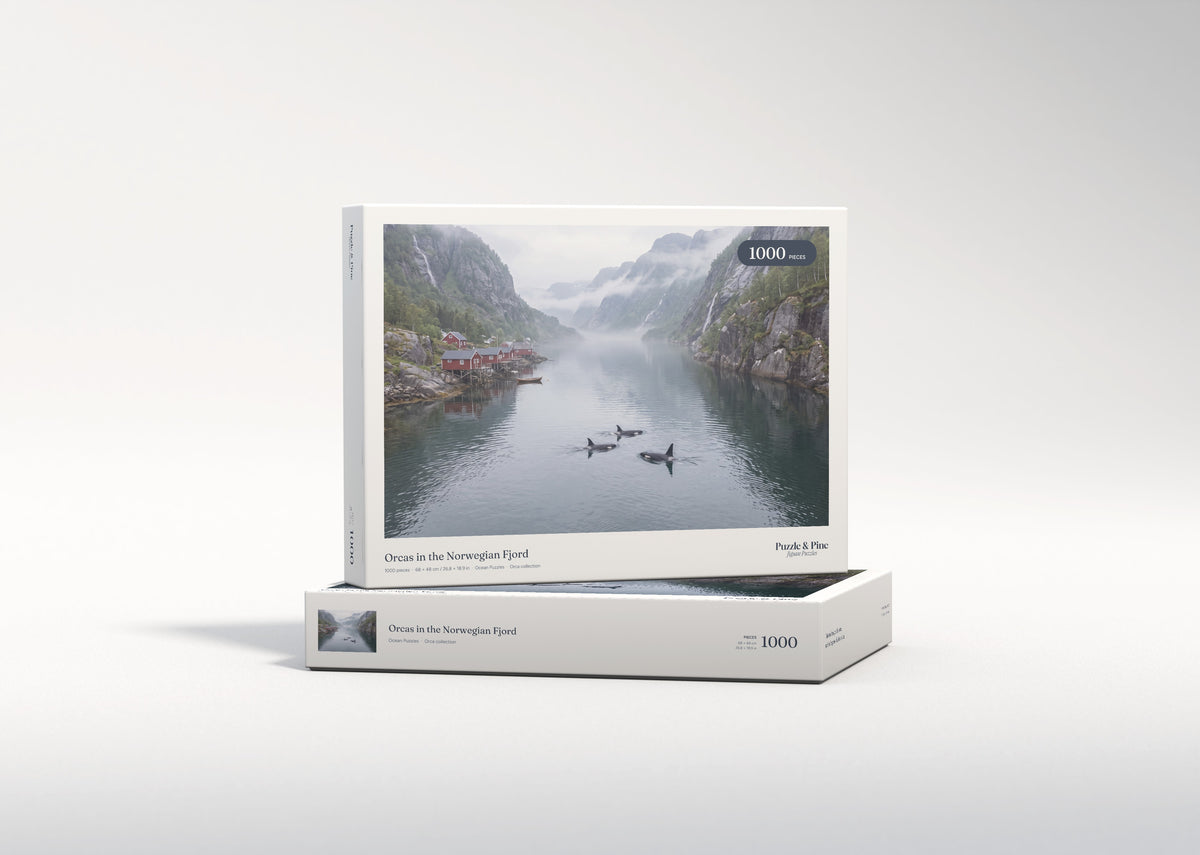 Orcas in the Norwegian Fjord jigsaw puzzle - gift box