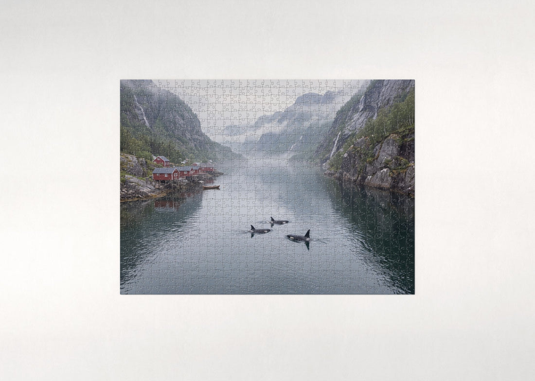 Orcas in the Norwegian Fjord jigsaw puzzle - gift box