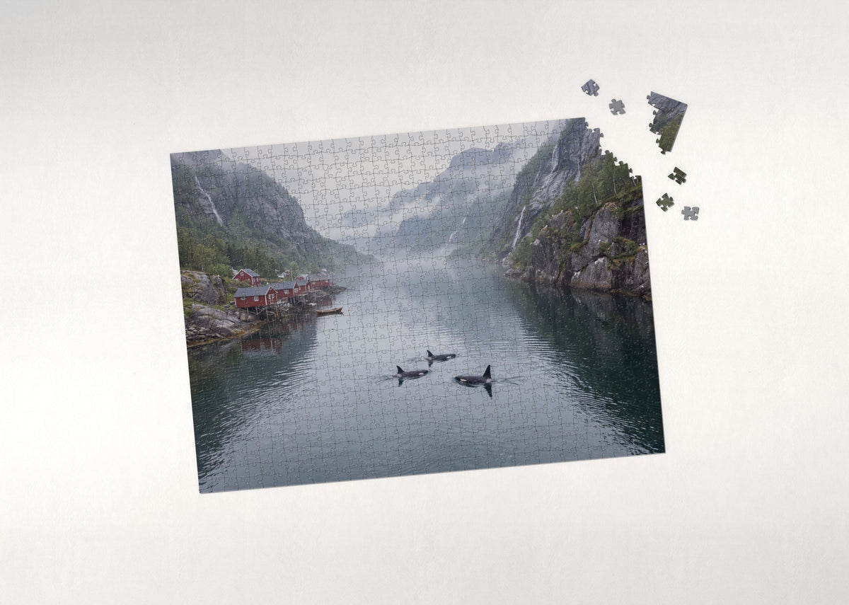 Orcas in the Norwegian Fjord jigsaw puzzle - puzzle with loose pieces