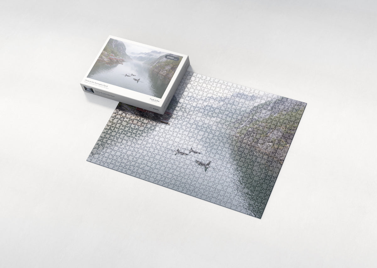 Orcas in the Norwegian Fjord jigsaw puzzle - box and puzzle