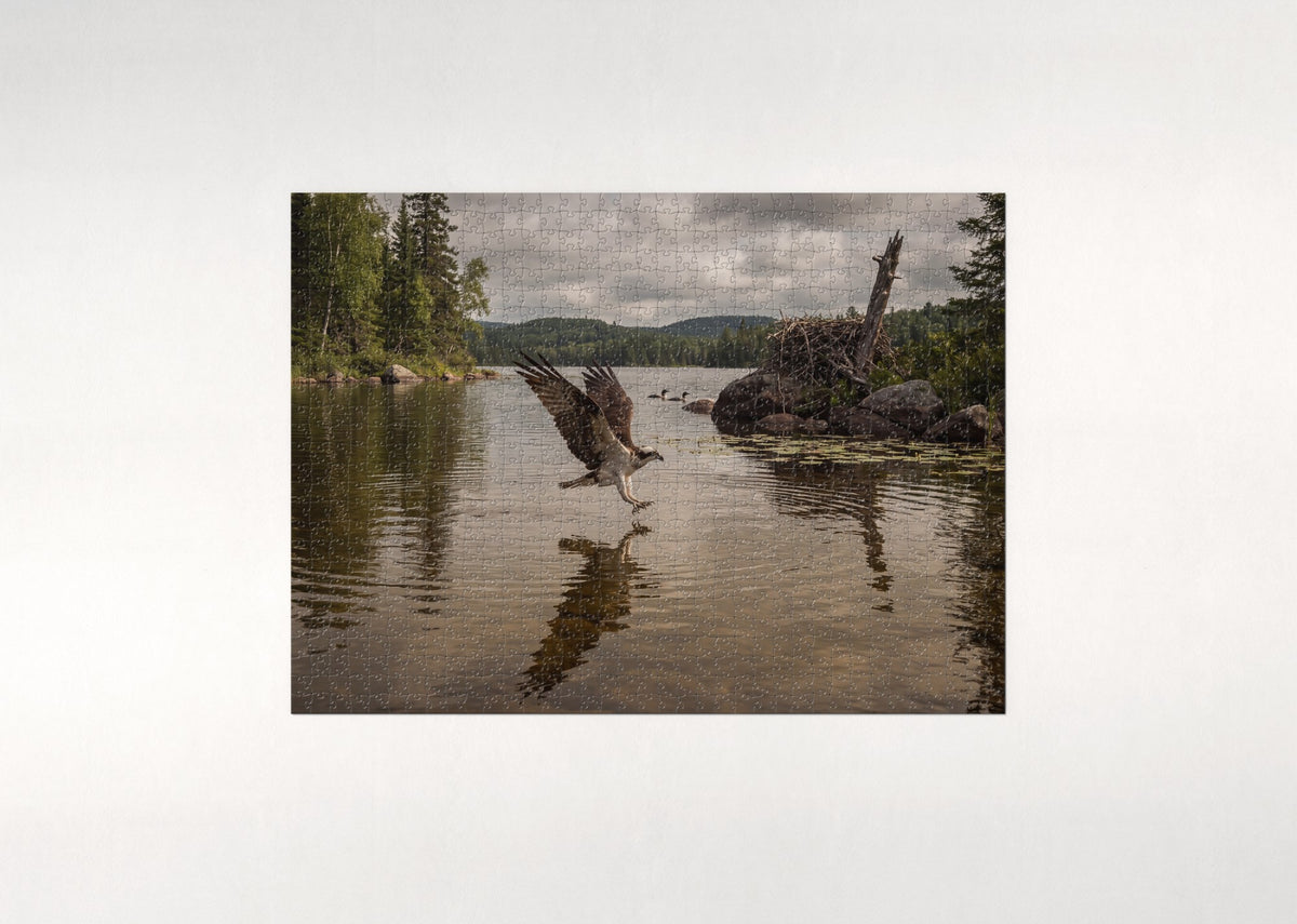 Osprey Diving at the Lake jigsaw puzzle - flat puzzle
