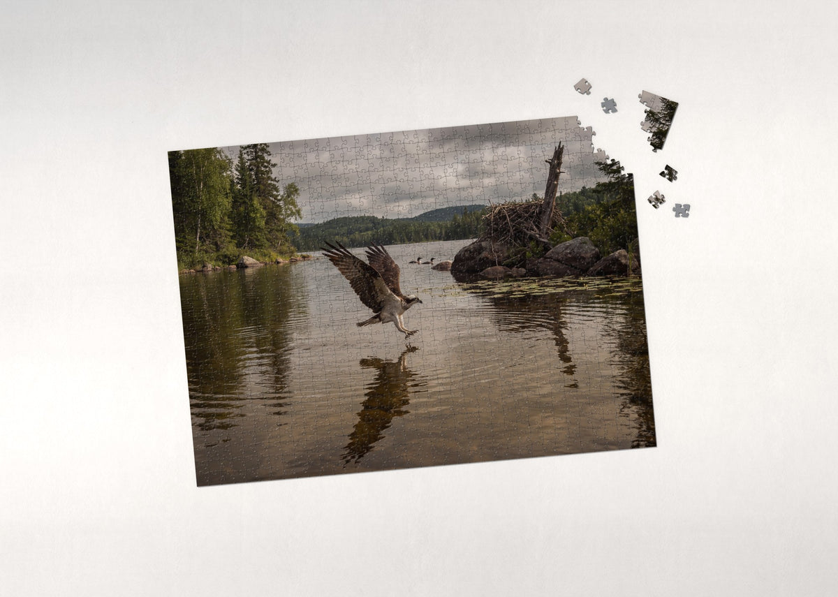 Osprey Diving at the Lake jigsaw puzzle - puzzle with loose pieces