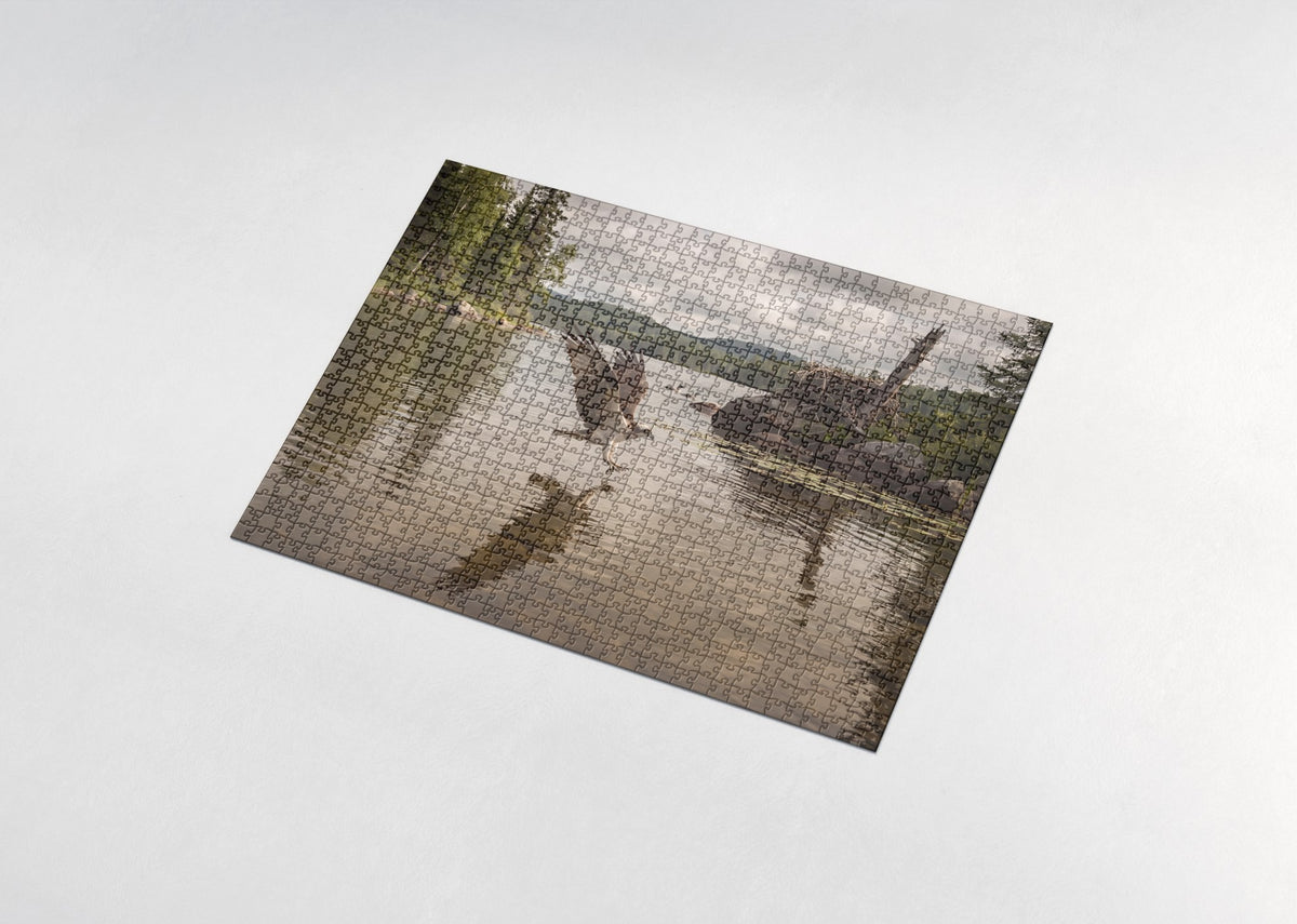 Osprey Diving at the Lake jigsaw puzzle - assembled puzzle