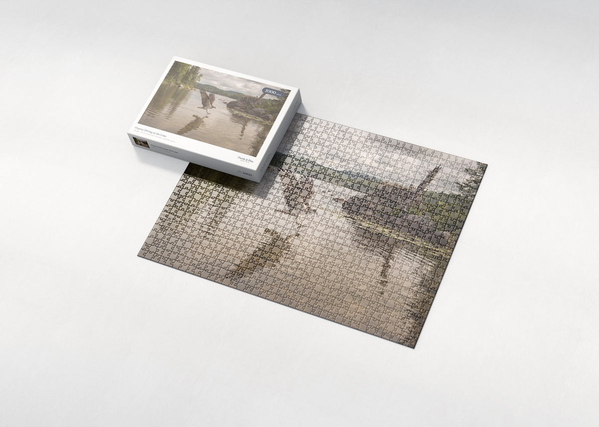 Osprey Diving at the Lake jigsaw puzzle - box and puzzle