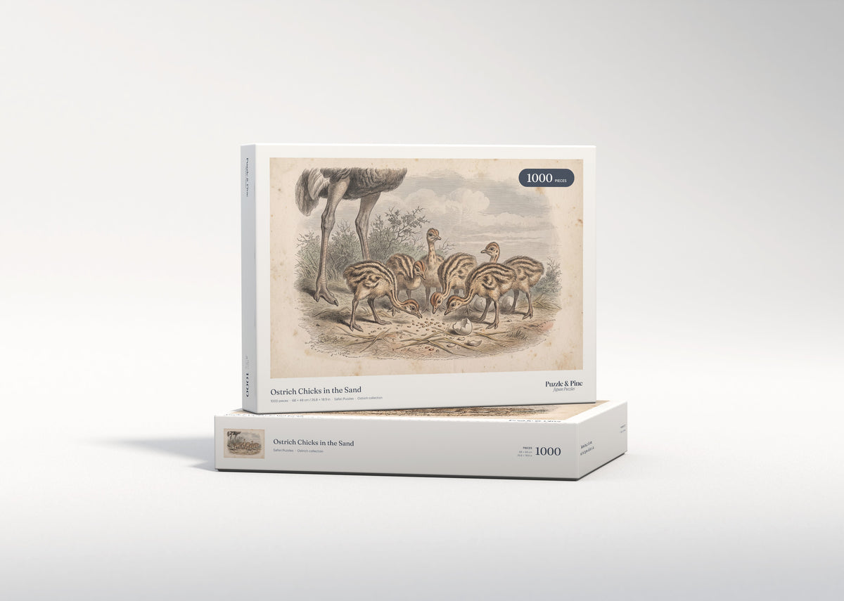 Ostrich Chicks in the Sand jigsaw puzzle - gift box