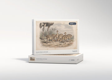Ostrich Chicks in the Sand jigsaw puzzle - gift box