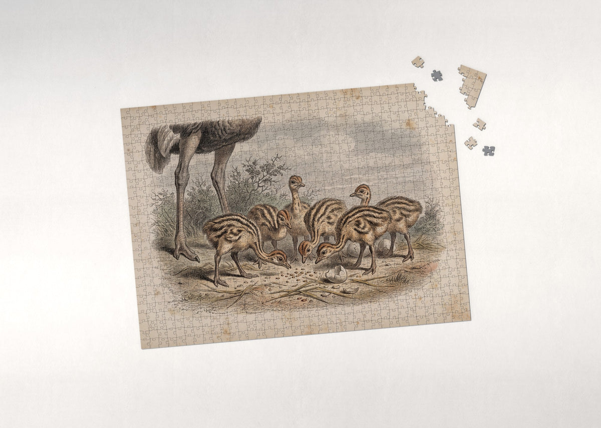 Ostrich Chicks in the Sand jigsaw puzzle - puzzle with loose pieces